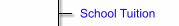 School Tuition